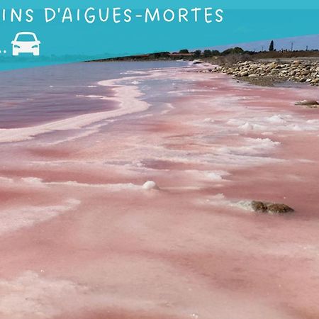 Le Flamant Rose - Cosykaz Appartement Aigues-Mortes Buitenkant foto